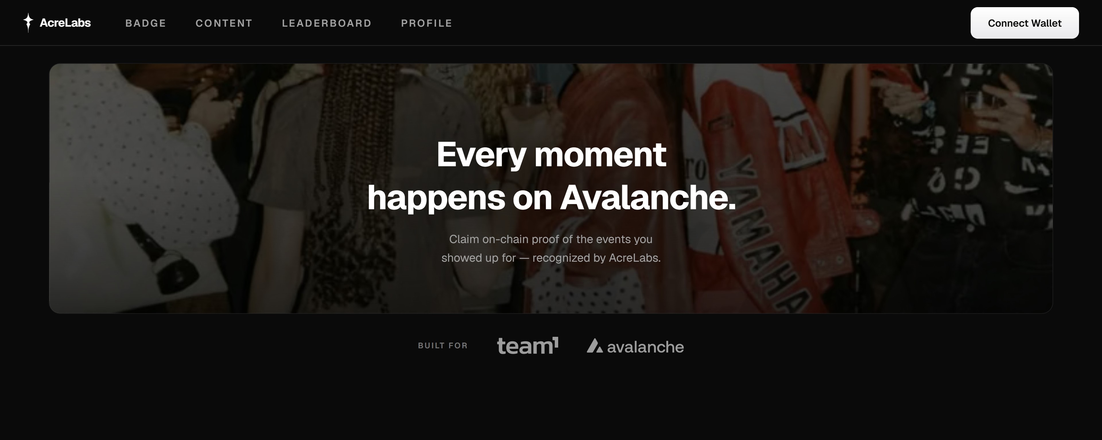 AcreLabs landing page