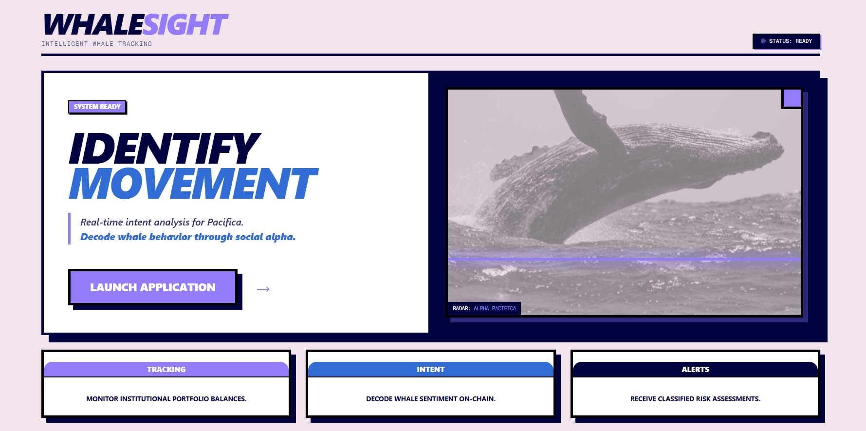 WhaleSight