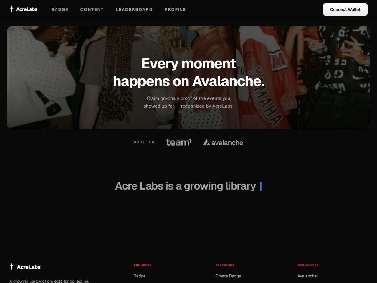 AcreLabs landing page